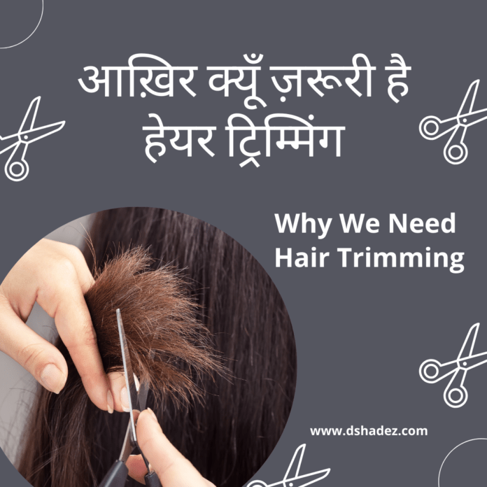 Why We Need Hair Trimming